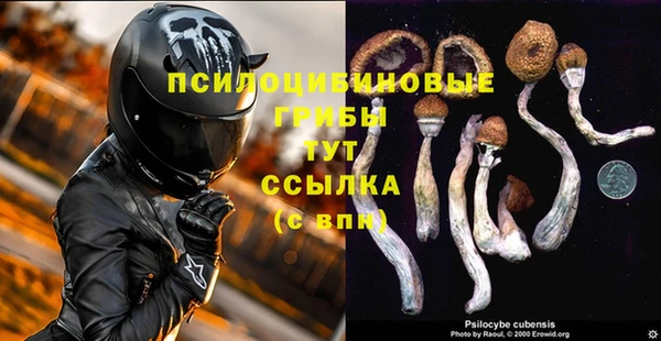 скорость Алзамай
